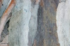 Eva Zinke: Isolation.Fotografie, 2020www.zinkeart.de